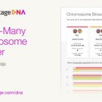 MyHeritage kondigt een grote upgrade aan van de Chromosomenbrowser. Hiermee kunnen gebruikers hun DNA matches nog beter en makkelijker benutten.